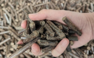 煤炭熱值那么高，為什么還要燒鋸末顆粒機的生物質(zhì)顆粒燃料？